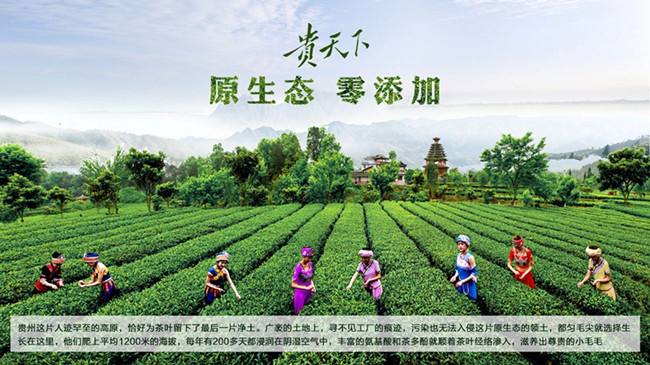 貴天下領(lǐng)袖級好茶，獻(xiàn)給生命中每一位貴人