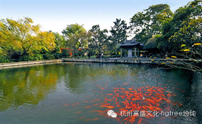 看！那些縈繞在美頸云肩邊的西湖美景（一）