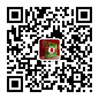 種植紅豆杉，他帶著村民走上了致富道路