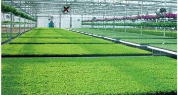 植物生長機進(jìn)入家庭微耕時代 新品發(fā)布會暨招商大會于2015年12月27日盛大開幕