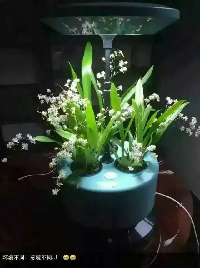 植物生長機進(jìn)入家庭微耕時代 新品發(fā)布會暨招商大會于2015年12月27日盛大開幕