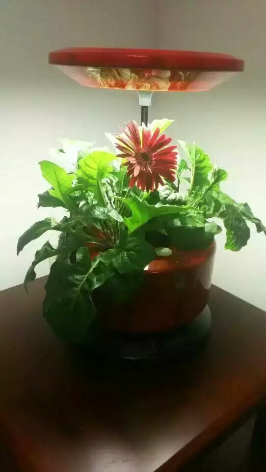 植物生長機進(jìn)入家庭微耕時代 新品發(fā)布會暨招商大會于2015年12月27日盛大開幕