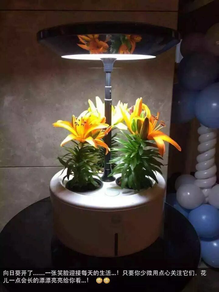 植物生長機進(jìn)入家庭微耕時代 新品發(fā)布會暨招商大會于2015年12月27日盛大開幕